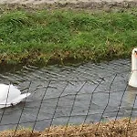 Tulp & Duin *