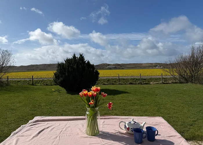 Tulp & Duin יוליאנאדורפ