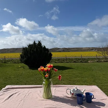 Tulp & Duin Julianadorp